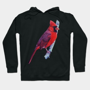 Northern Cardinal in Spring painting (no background) Hoodie